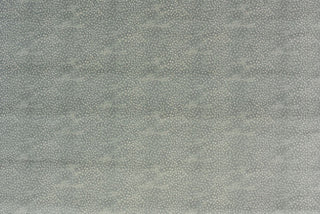 T01016438_ALT2