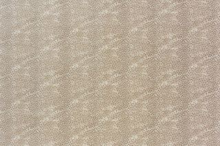 T01016439_ALT2
