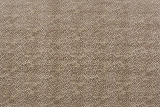 T01016442_ALT2
