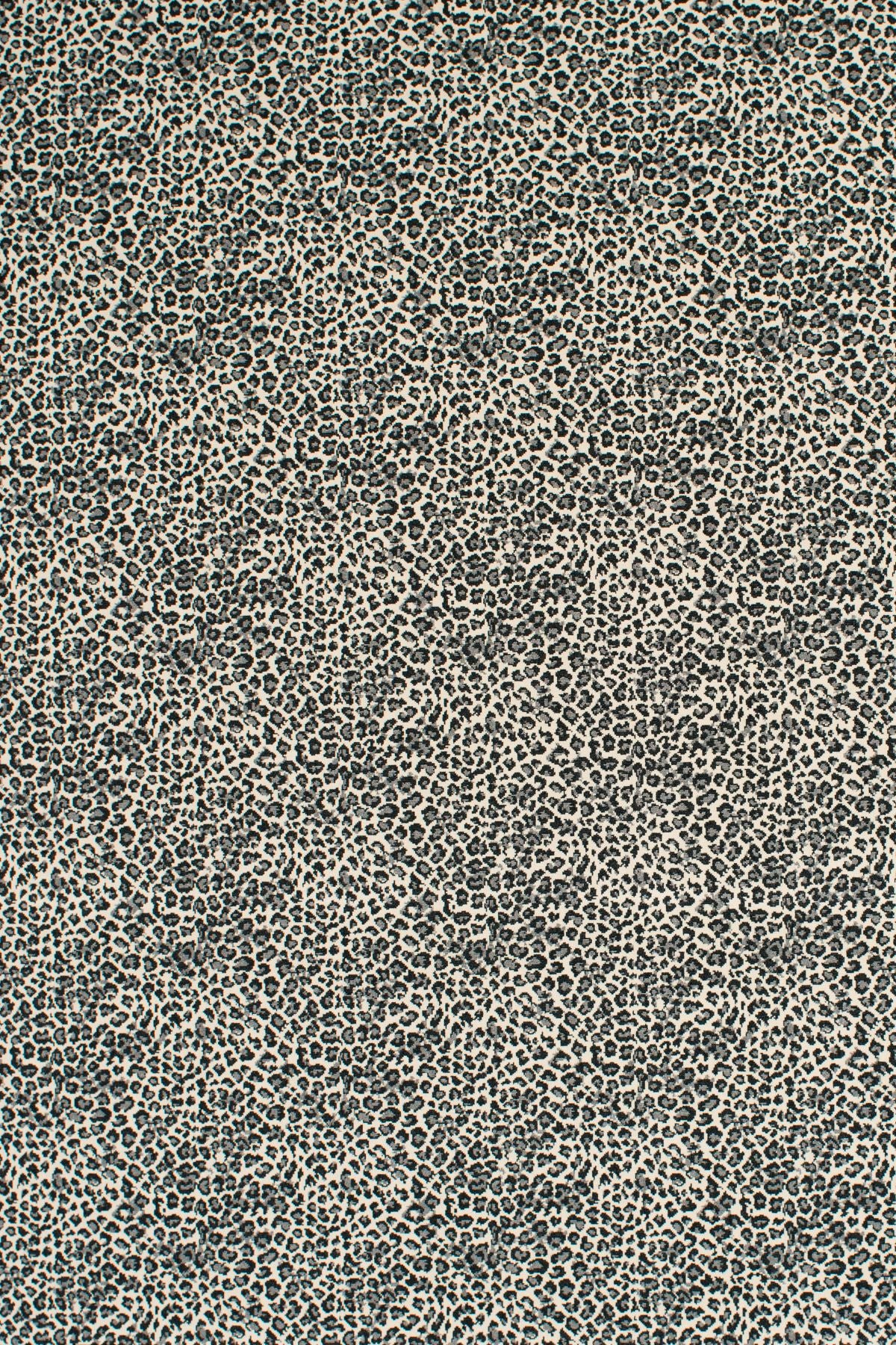 T01016849_ALT2