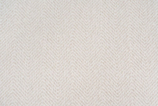 T01016889_CL