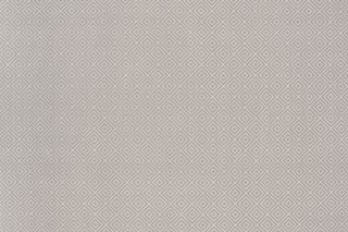 T01017279_ALT2