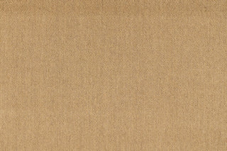 T01017570_ALT2