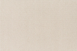 T01017607_CL